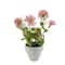 Assorted Micro Plant, 1pc. by Ashland®